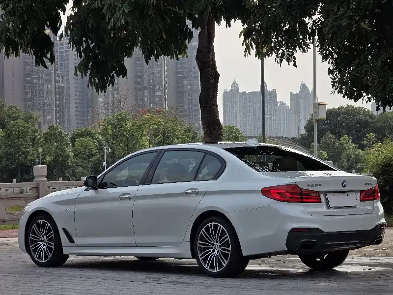 BMW 5 Series 2018 530Li Exclusive M Sports Package купить на сайте DeffCars