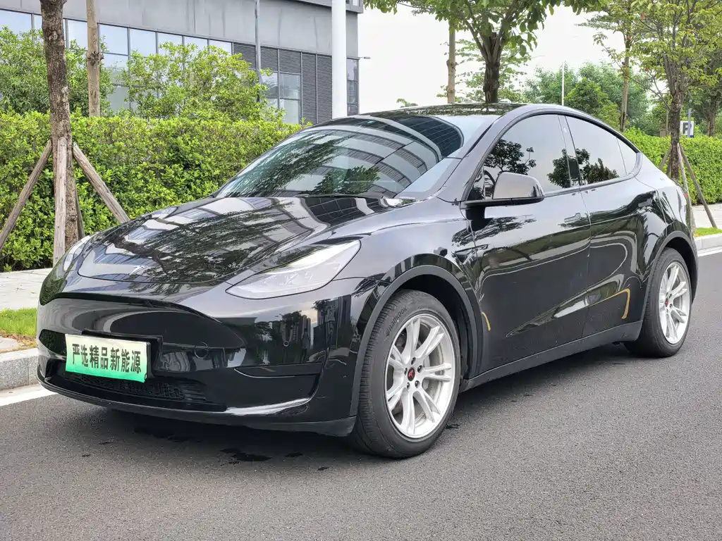 Model Y 2022 rear-wheel drive version купить на сайте DeffCars