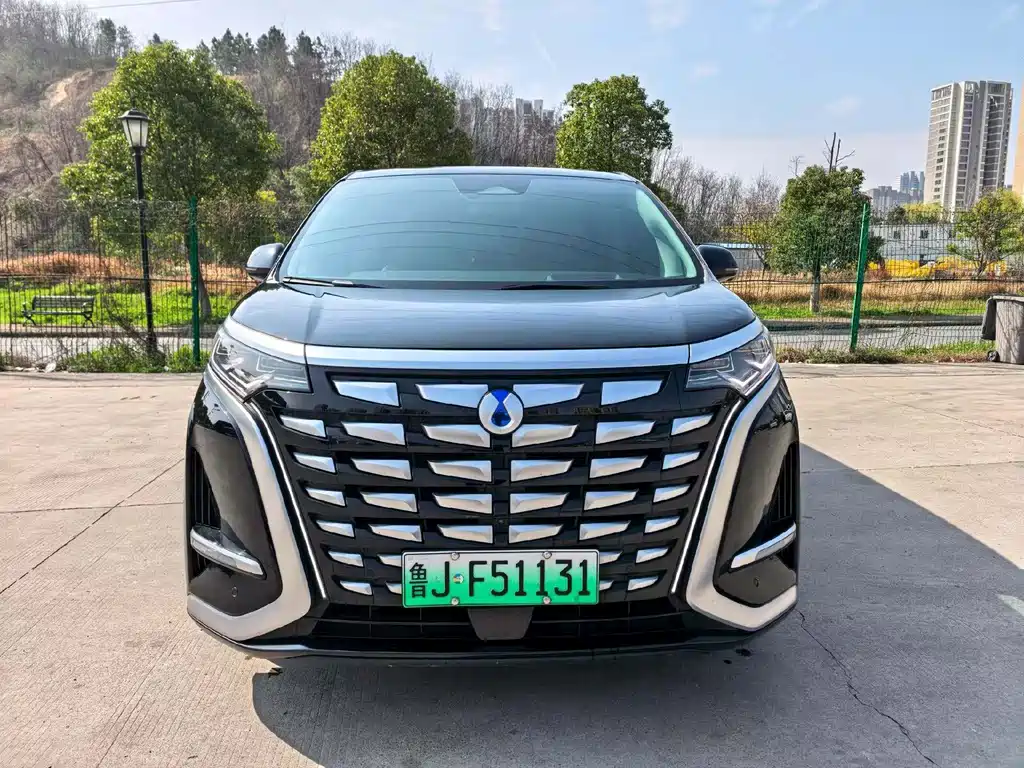 Denza D9 2024 DM-i 980 four-wheel drive premium model купить на сайте DeffCars