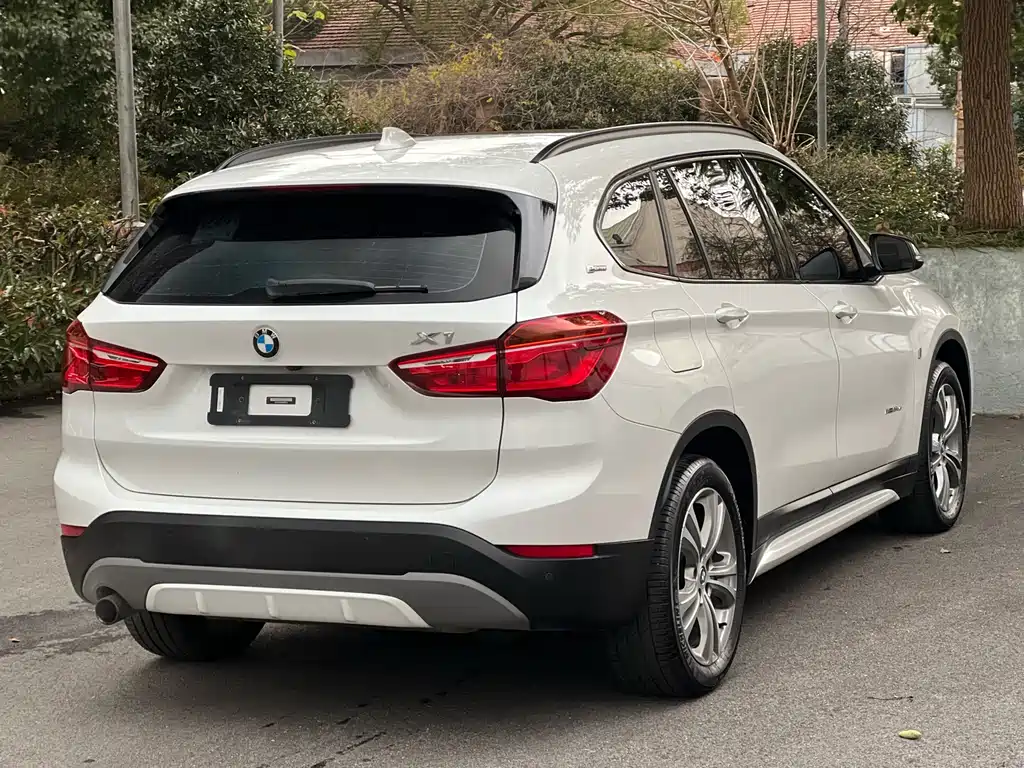 BMW X1 New Energy 2018 xDrive25Le Luxury Model купить на сайте DeffCars