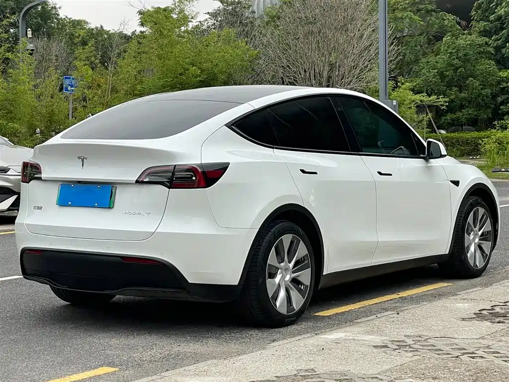 Model Y 2022 rear-wheel drive version купить на сайте DeffCars