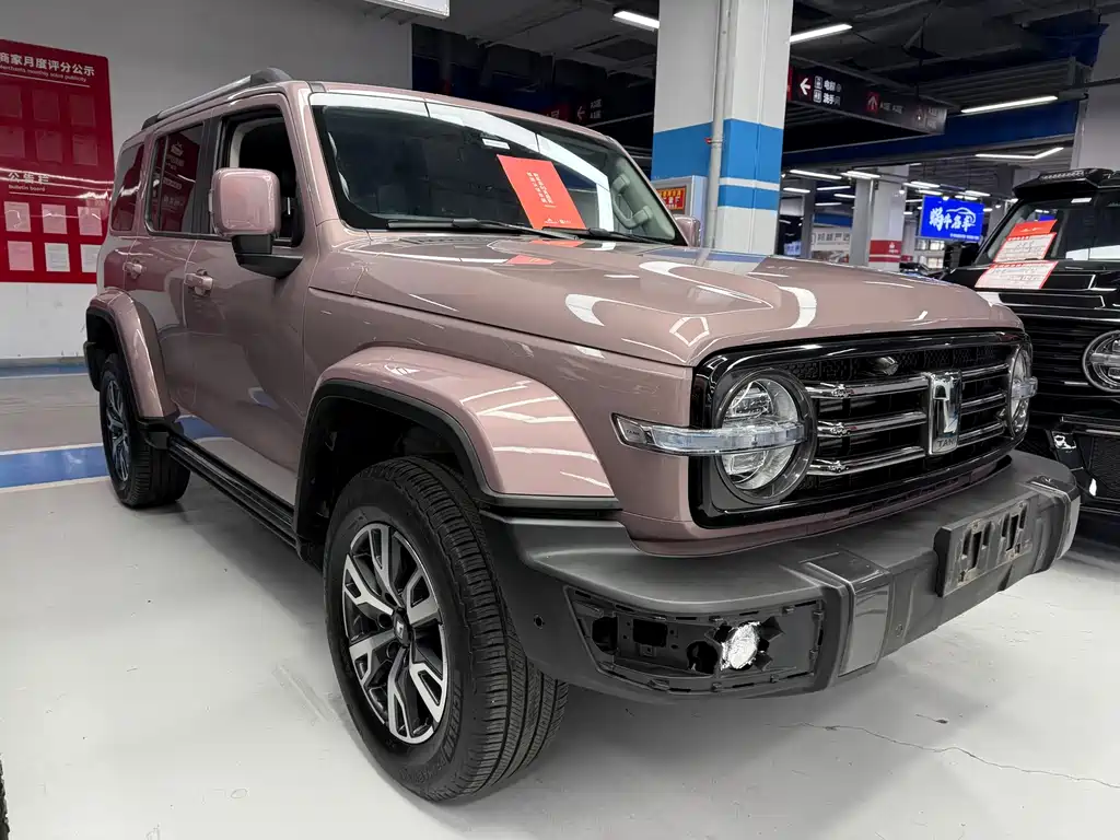 Tank 300 2023 City Edition 2.0T Very Stylish купить на сайте DeffCars