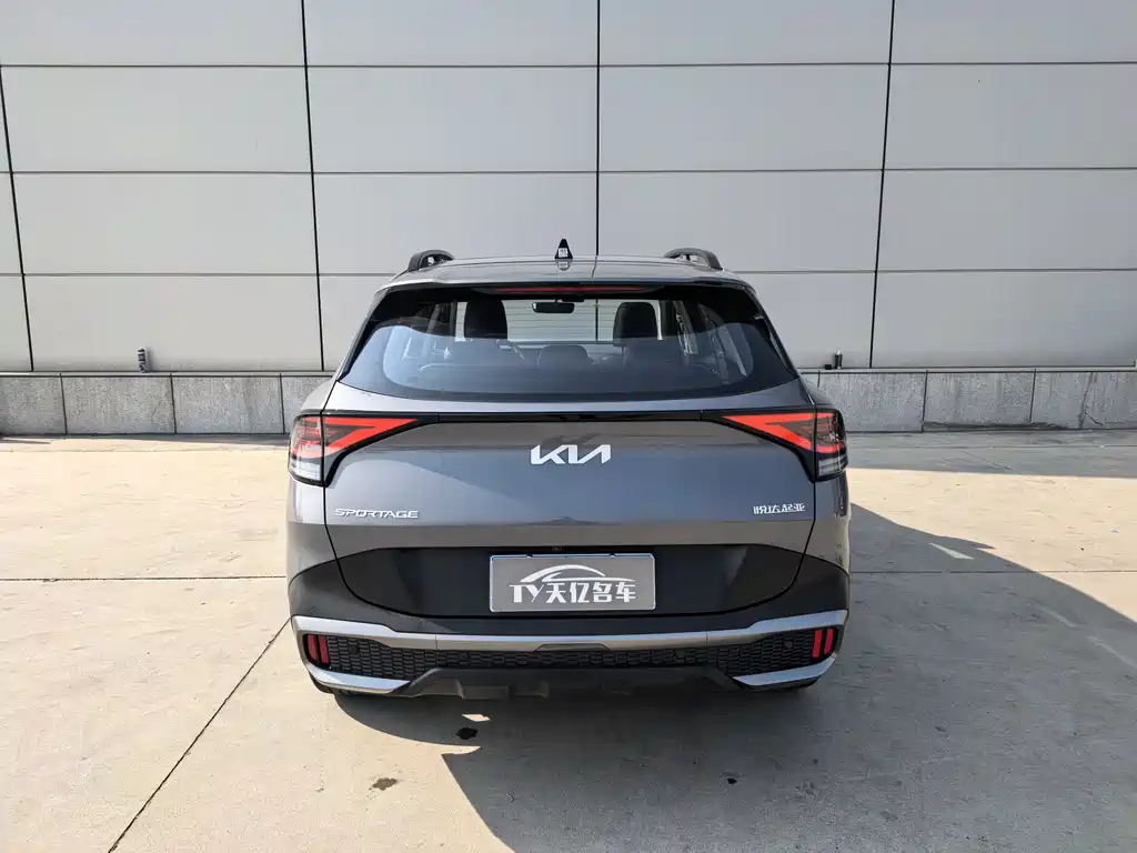 Lion Expands the World 2025 2.0T Two-wheel Drive Premium Edition купить на сайте DeffCars