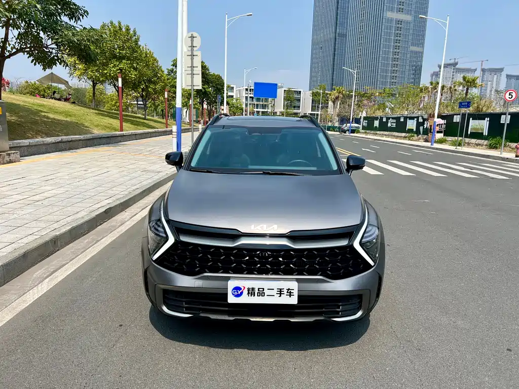 Lion Platinum expands the world 2023 2.0T two-wheel drive flagship version купить на сайте DeffCars