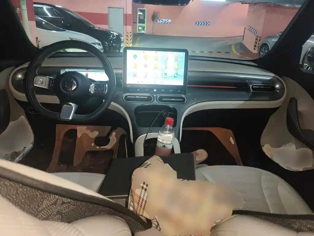 smart Elf #1 2022 Pro+ version купить на сайте DeffCars