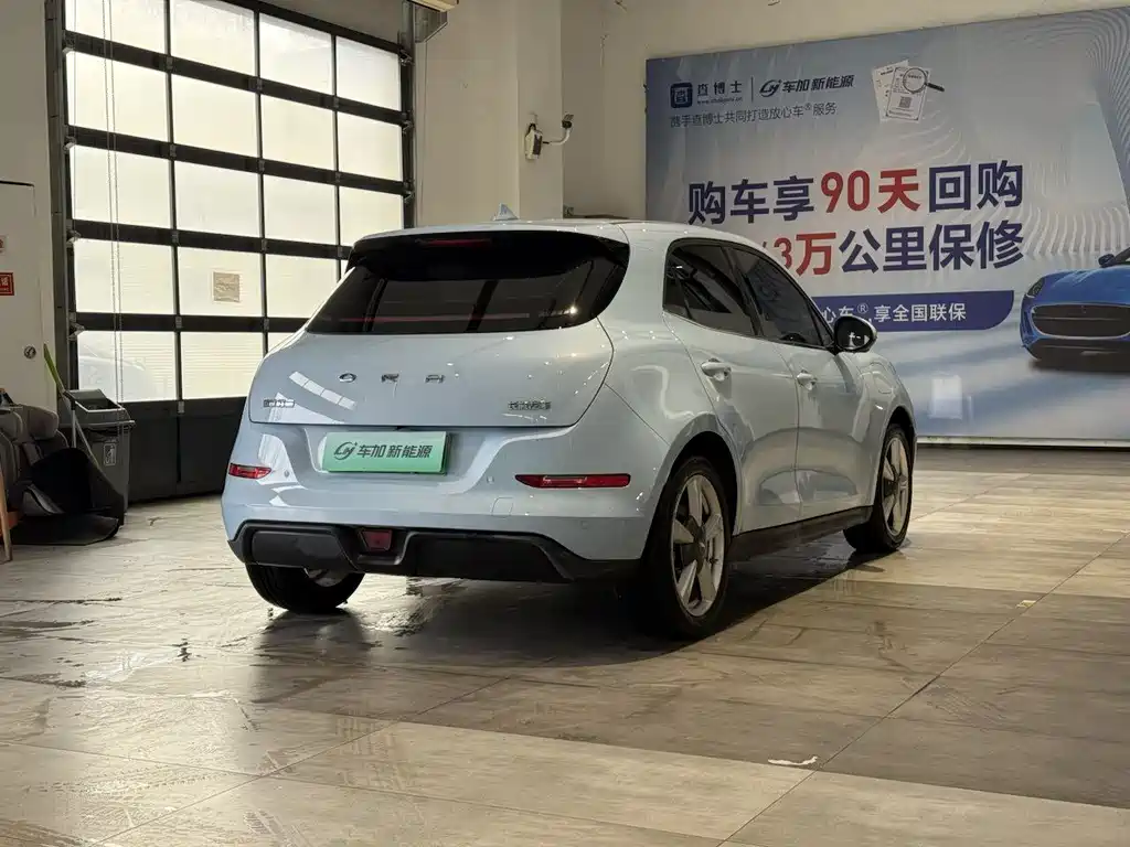 Euler Good Cat 2021 Model 400km Standard Range Venus Edition Lithium Iron Phosphate купить на сайте DeffCars
