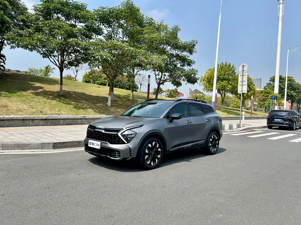Lion Platinum expands the world 2023 2.0T two-wheel drive flagship version купить на сайте DeffCars