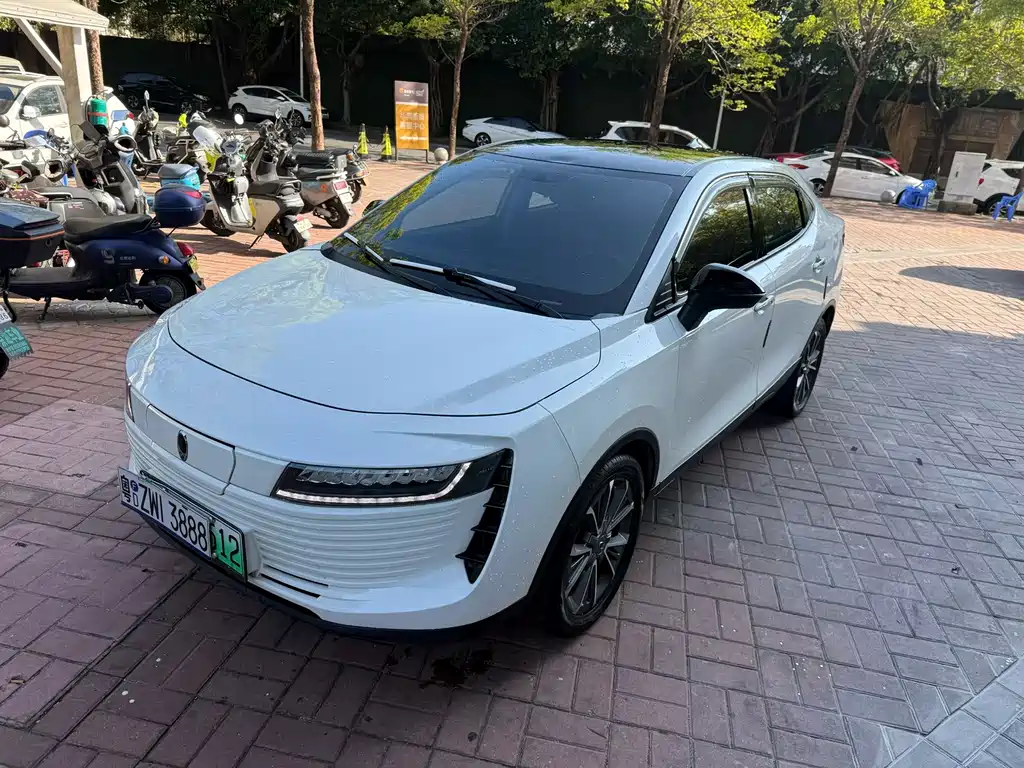 Euler iQ 2019 travel version купить на сайте DeffCars