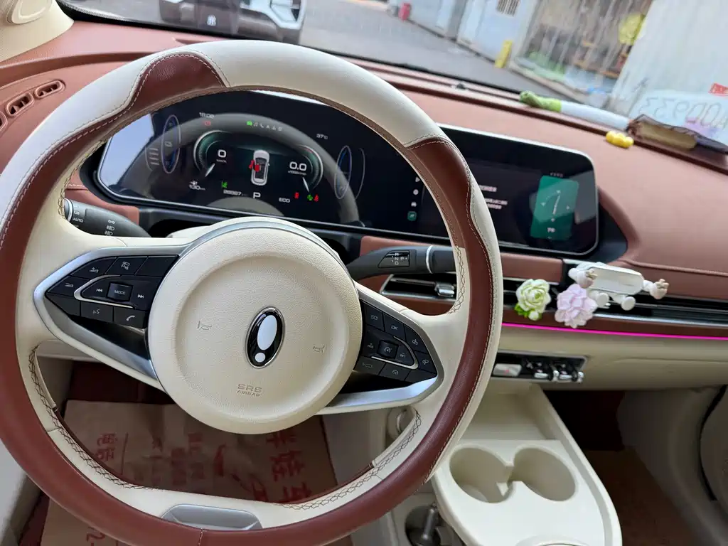 Euler Good Cat 2023 model 401km standard battery life luxury model lithium iron phosphate купить на сайте DeffCars