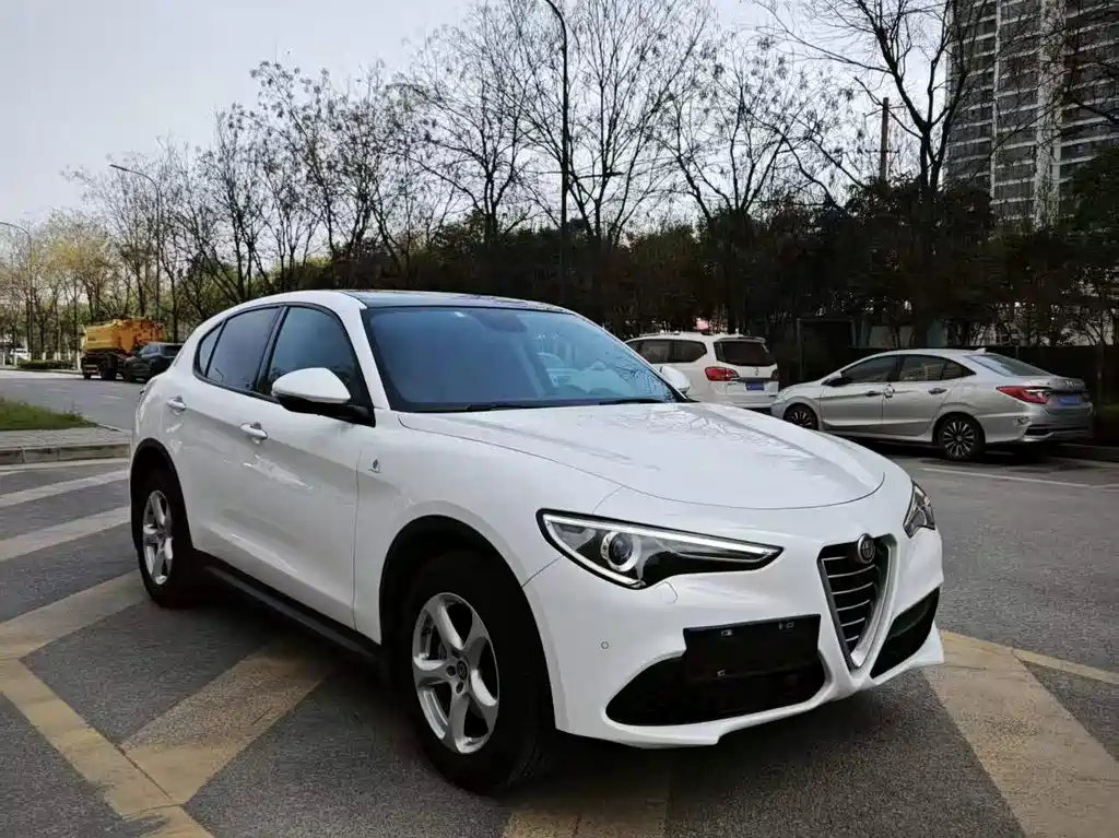 Stelvio 2017 2.0T 200HP Elite Edition купить на сайте DeffCars