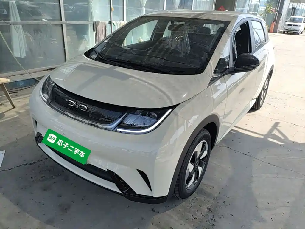 Dolphin 2025 420km Free Edition купить на сайте DeffCars