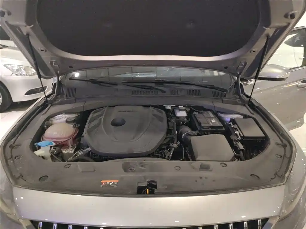 Xingrui 2023 2.0TD luxury model купить на сайте DeffCars