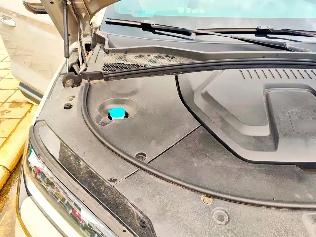 Song Plus New Energy 2024 Honor Edition DM-i 110km Flagship купить на сайте DeffCars