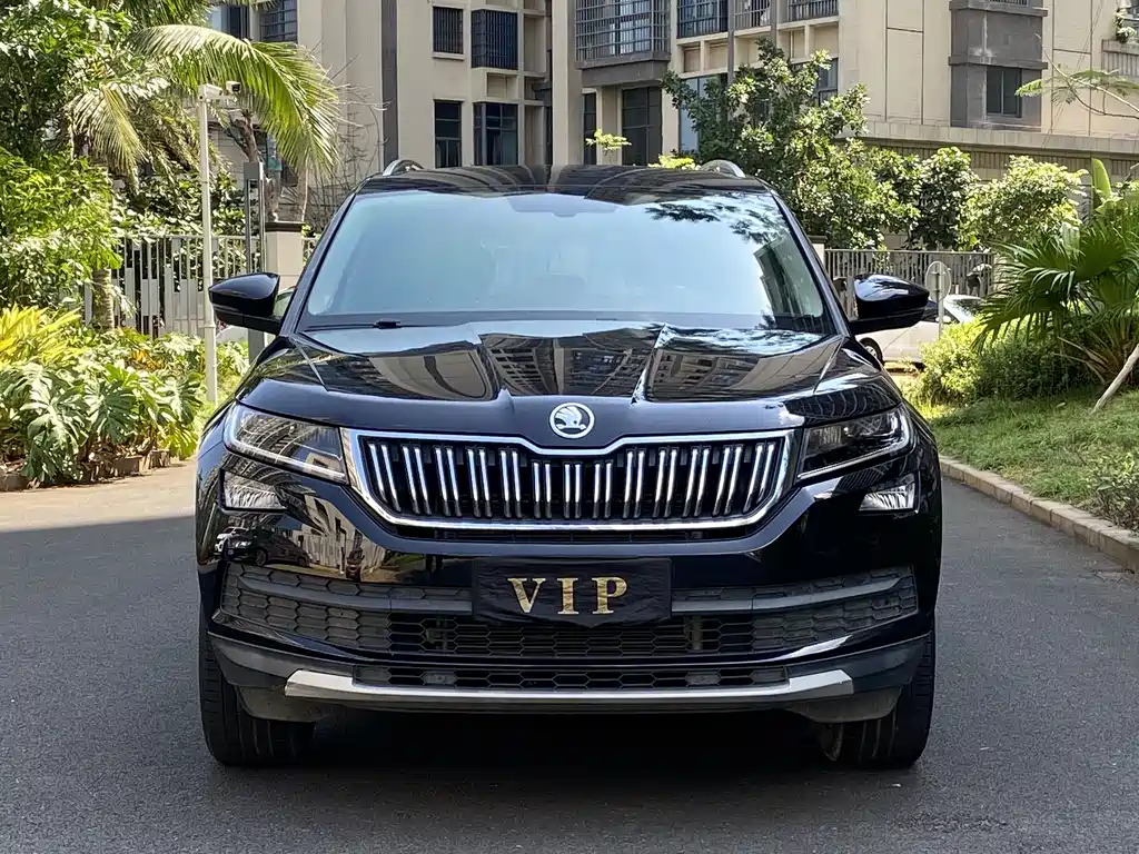 Kodiak 2020 TSI330 5-seater two-wheel drive luxury premium version купить на сайте DeffCars