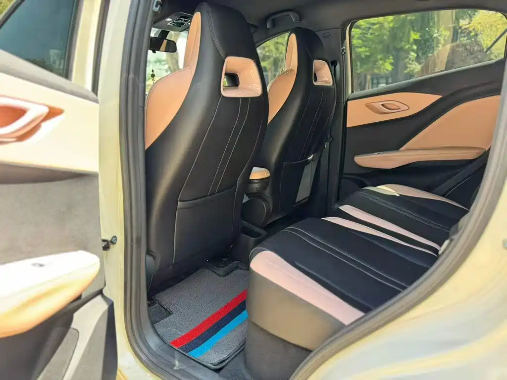 Seagull 2024 Honor Edition 305km Free купить на сайте DeffCars