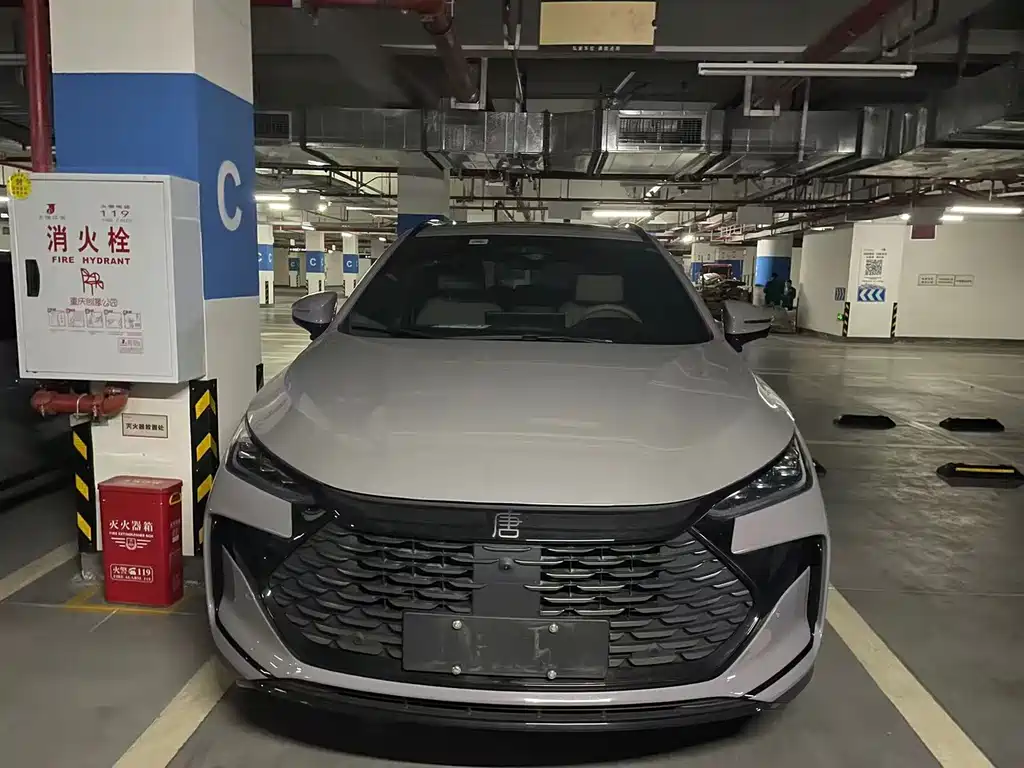 Tangxin Energy 2025 smart driving version DM-i 115KM flagship model купить на сайте DeffCars