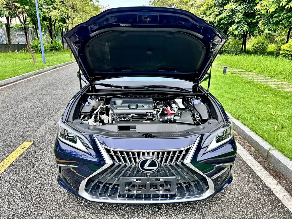 Lexus ES 2022 200 Excellence Edition купить на сайте DeffCars