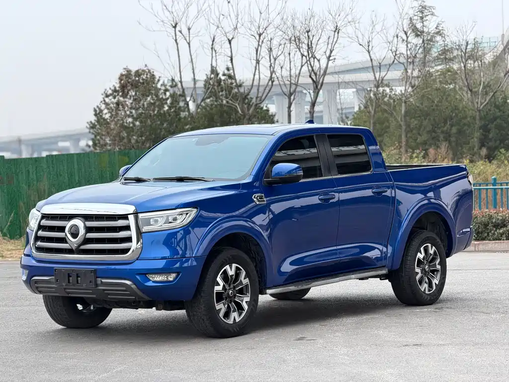 Cannon 2021 2.0T Passenger Global Version Automatic Diesel Two-wheel Drive Comfort Standard Box GW4D20M купить на сайте DeffCars