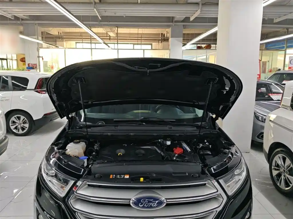 Ruijie 2018 EcoBoost 245 2WD Platinum 7-seater National V купить на сайте DeffCars