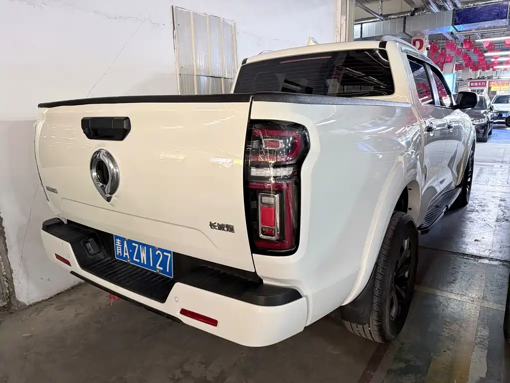 Cannon 2023 2.0T passenger version automatic gasoline four-wheel drive exclusive model GW4C20B купить на сайте DeffCars