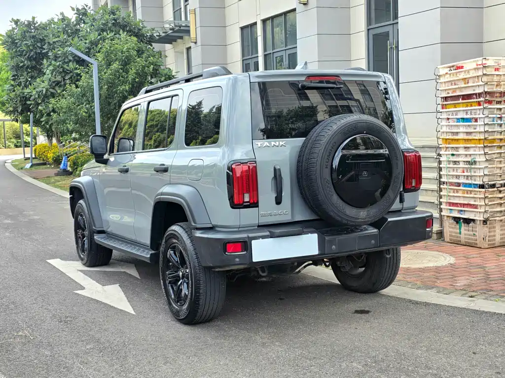 Tank 300 2023 Off-Road Version 2.0T Conqueror купить на сайте DeffCars