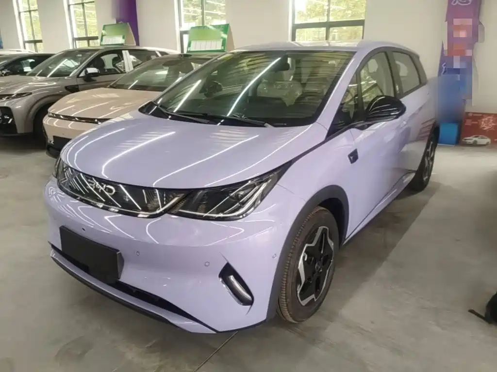 Dolphin 2025 smart driving version 420km free version купить на сайте DeffCars