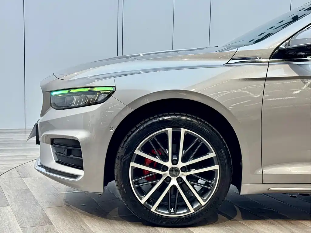 Xingrui 2021 facelift 2.0TD premium model купить на сайте DeffCars
