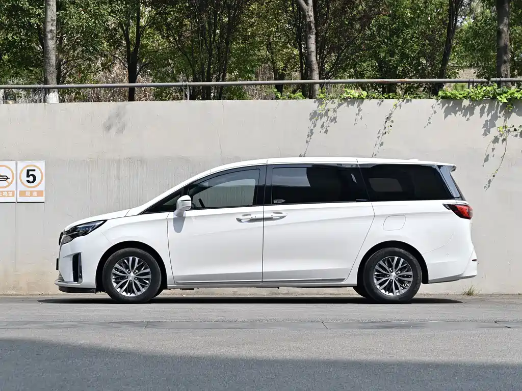 Buick GL8 2023 ES Lu Zun Exclusive Model купить на сайте DeffCars