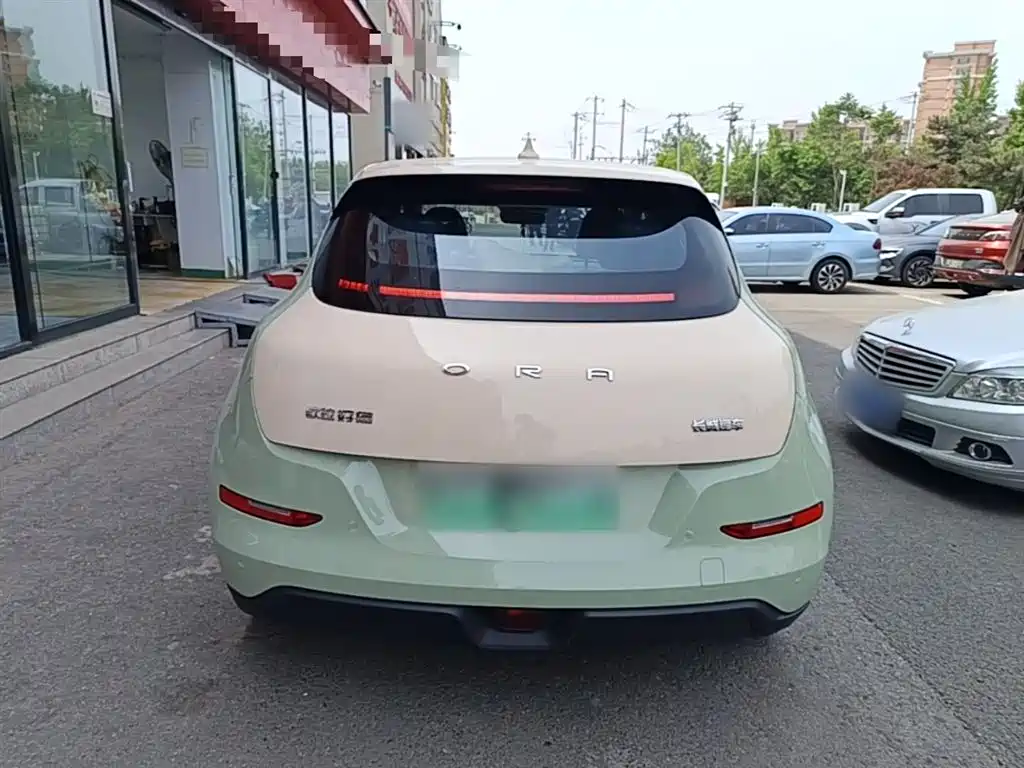 Euler Good Cat 2021 model 400km standard battery life Athena version ternary lithium купить на сайте DeffCars
