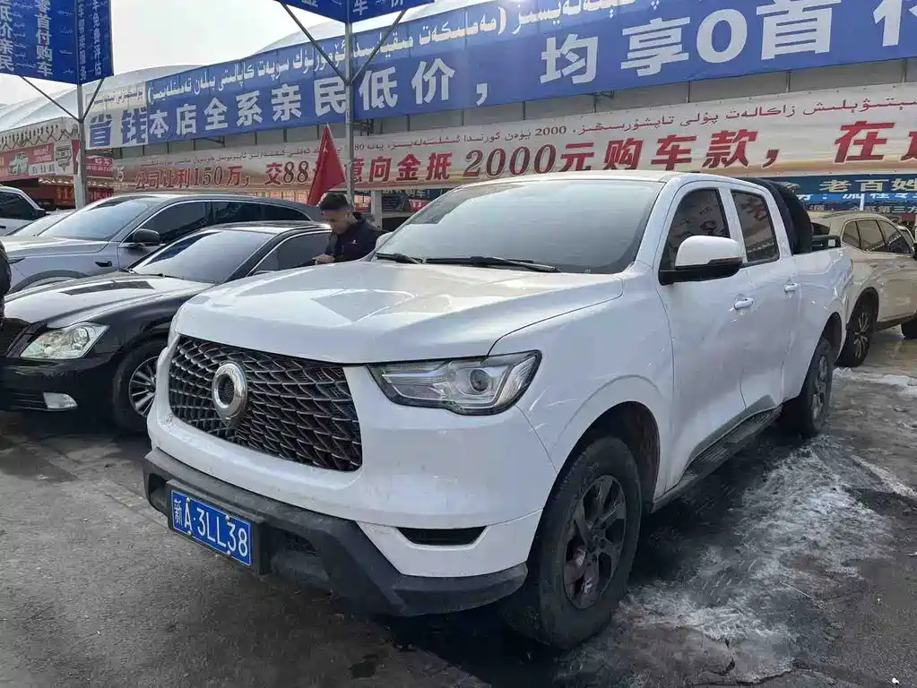 Cannon 2021 2.0T commercial version manual diesel four-wheel drive elite long box GW4D20M купить на сайте DeffCars