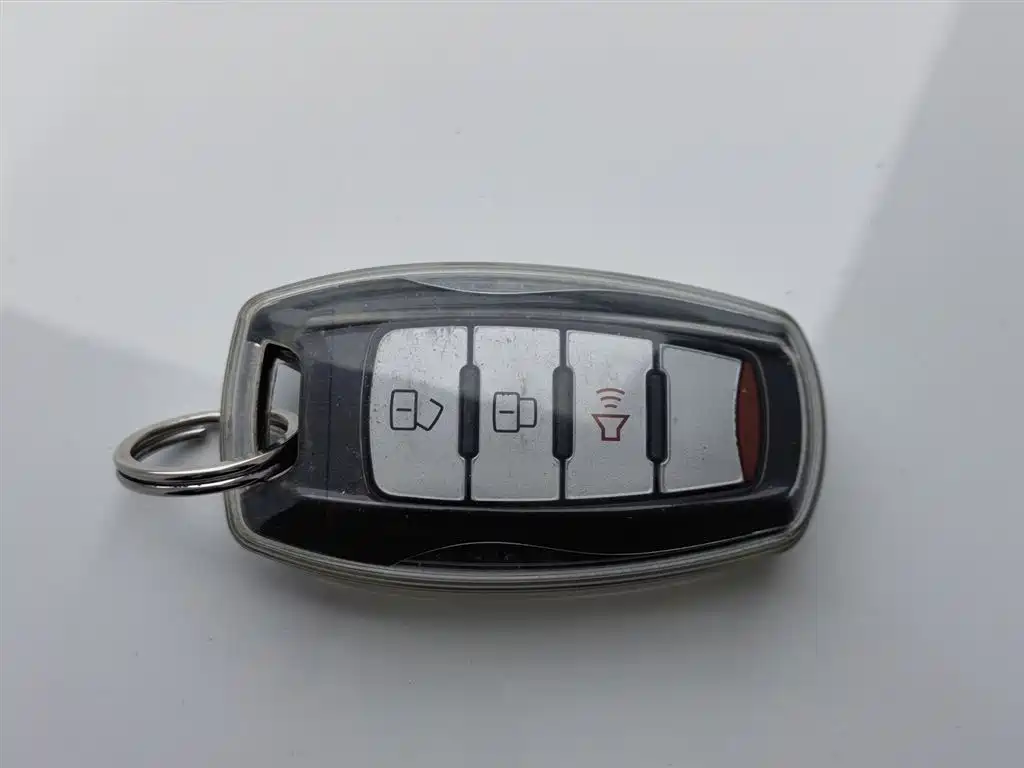 Cannon 2021 2.0T commercial version automatic diesel two-wheel drive elite long box GW4D20M купить на сайте DeffCars