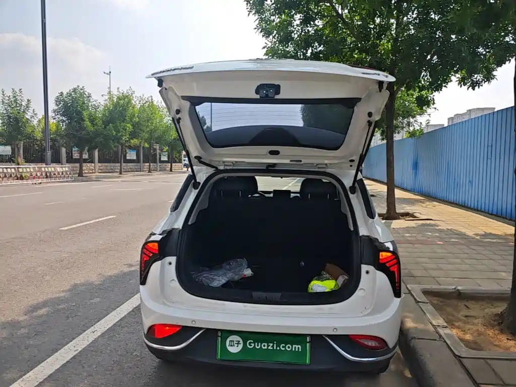 V 2022 Chao 300 Lite lithium iron phosphate купить на сайте DeffCars