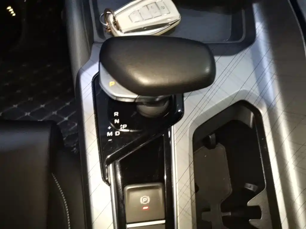 Xingrui 2021 2.0TD luxury model купить на сайте DeffCars
