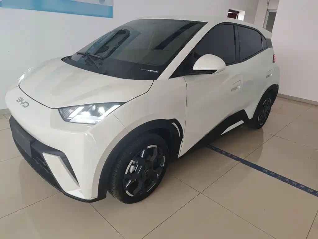 Seagull 2025 model 305km free version купить на сайте DeffCars