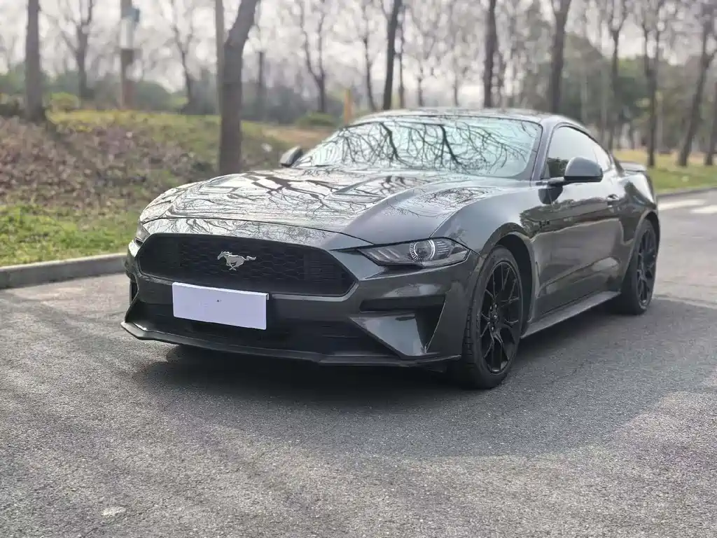 Mustang 2019 2.3L EcoBoost купить на сайте DeffCars