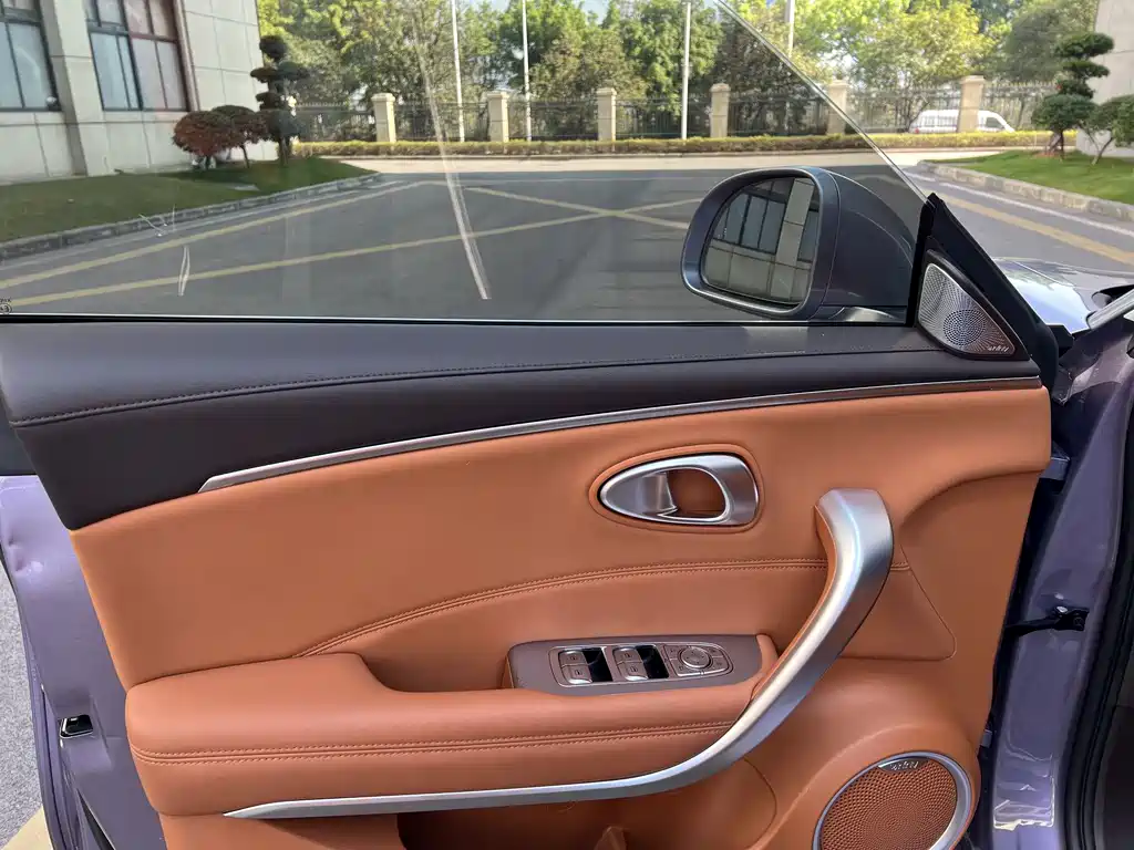 Euler Lightning Cat 2022 555km Premium Edition купить на сайте DeffCars