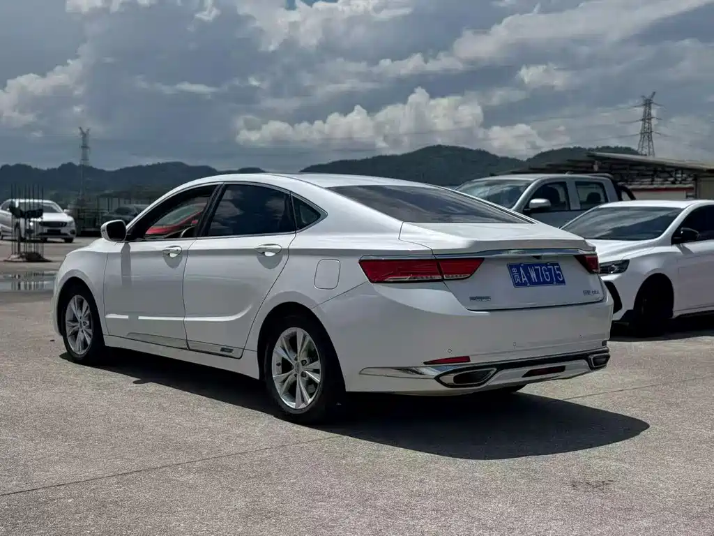 Borui 2020 1.5T MHEV Yaoxiang Edition купить на сайте DeffCars