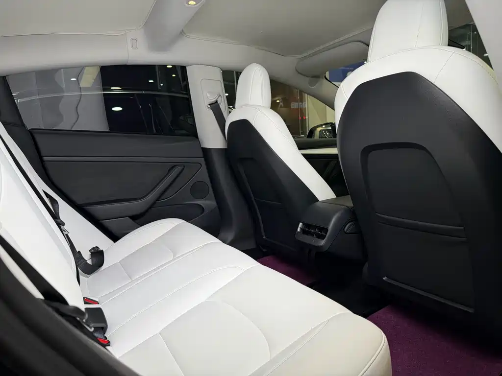 Model 3 2021 Performance high-performance all-wheel drive version купить на сайте DeffCars