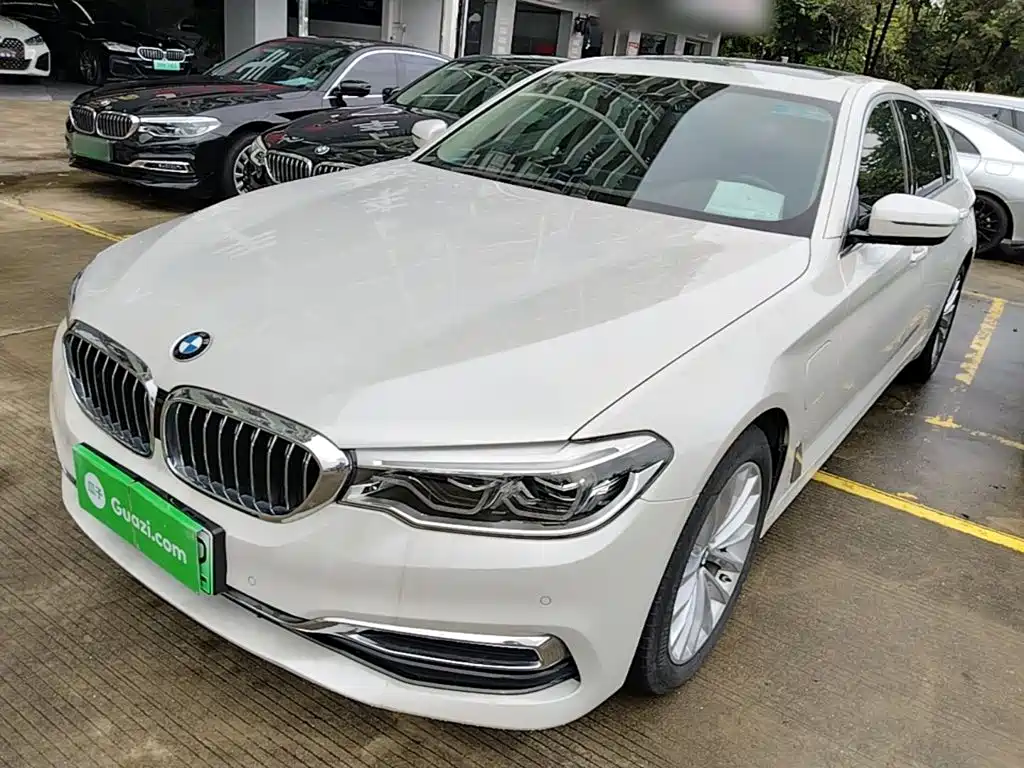 BMW 5 Series New Energy 2020 Mileage Upgraded Version 530Le Luxury Package купить на сайте DeffCars