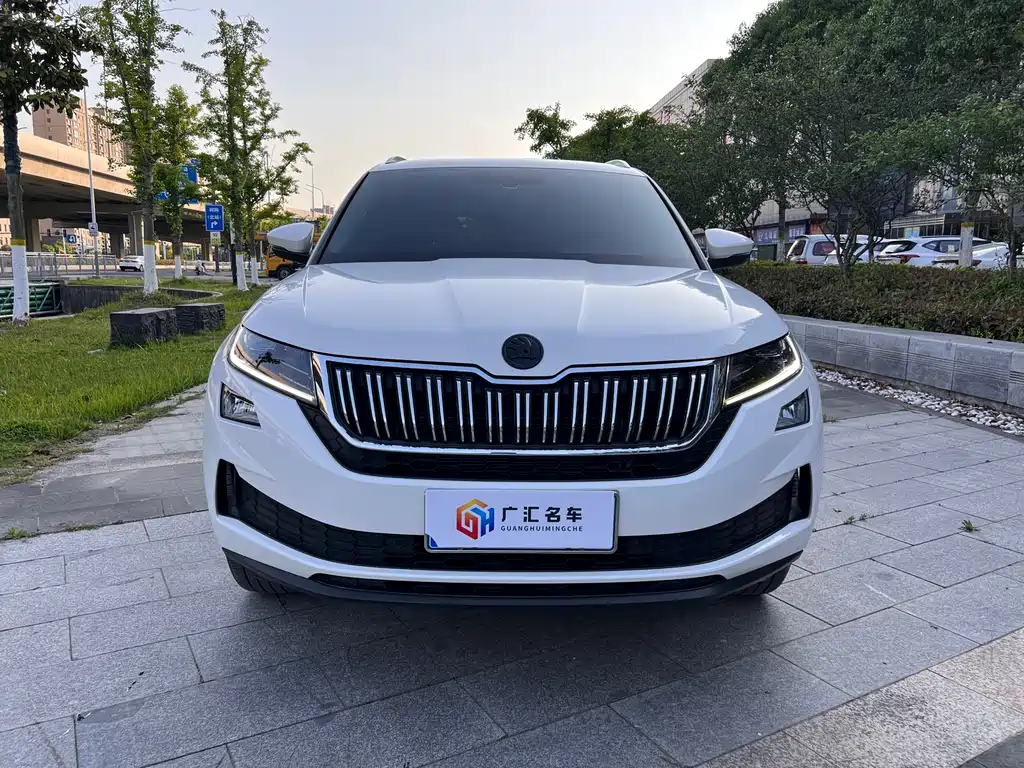 Kodiak GT 2019 TSI330 2WD Deluxe Edition National VI купить на сайте DeffCars