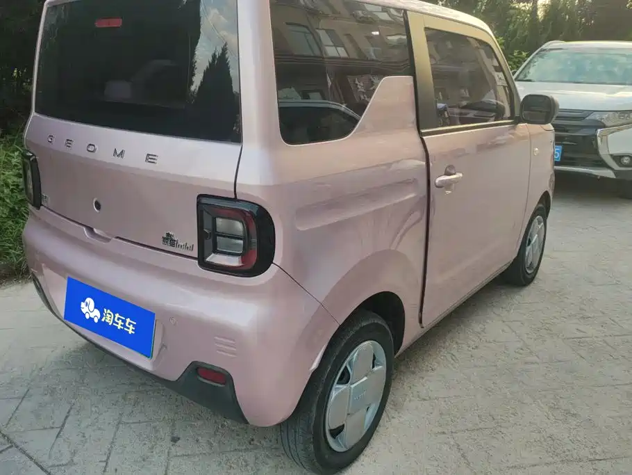 Panda 2023 Panda mini 200km endurance bear купить на сайте DeffCars
