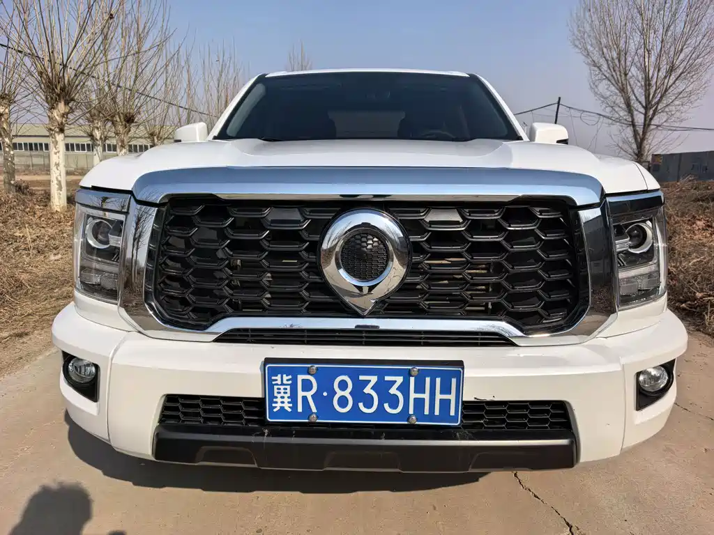 King Kong Cannon 2023 2.0T manual diesel four-wheel drive entrepreneurial long box GW4D20M купить на сайте DeffCars