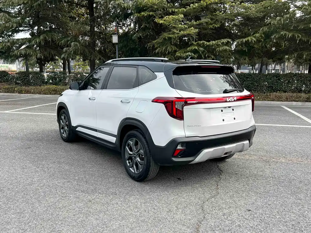 Sethus 2023 1.5L CVT Deluxe Edition купить на сайте DeffCars