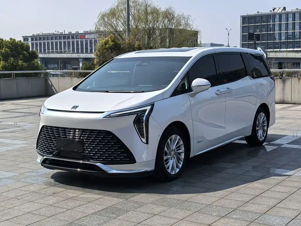 Century 2023 2.0T seven-seat Yuanshi Edition купить на сайте DeffCars