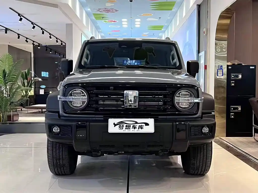 Tank 300 2025 2.0T gasoline challenger купить на сайте DeffCars