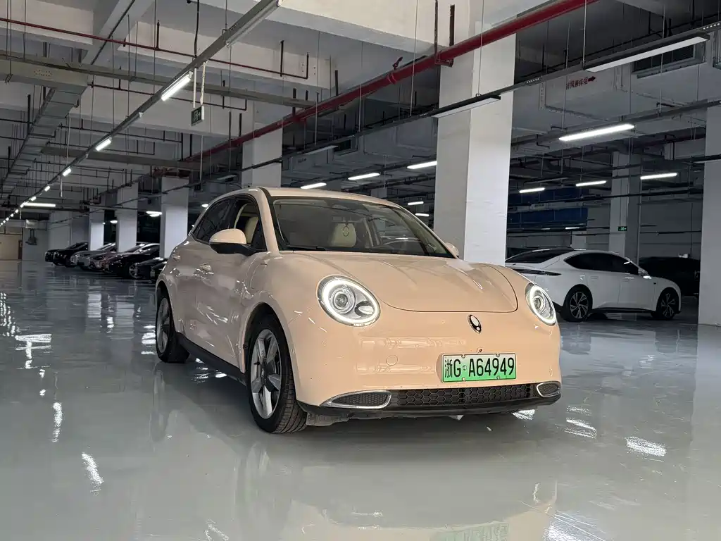 Euler Good Cat 2021 model 400km standard battery life Venus version ternary lithium купить на сайте DeffCars