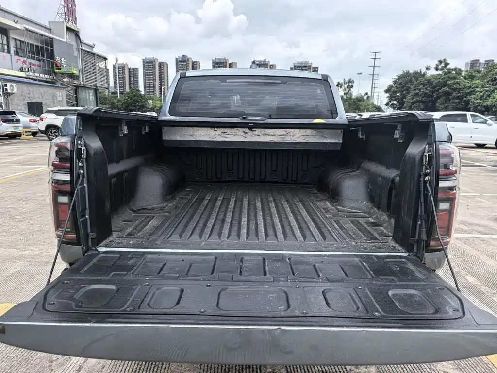 Cannon 2021 2.0T Passenger Global Version Automatic Diesel Two-wheel Drive Comfort Standard Box GW4D20M купить на сайте DeffCars