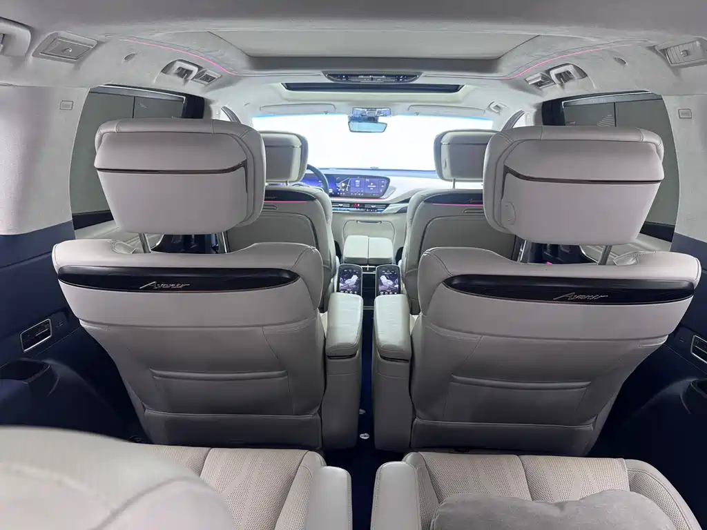 Century 2023 2.0T Six-seater Yuanshi Edition купить на сайте DeffCars