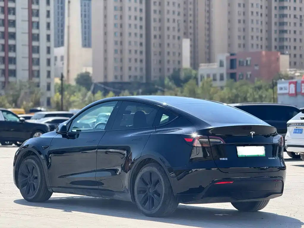 Model Y 2024 rear-wheel drive version купить на сайте DeffCars