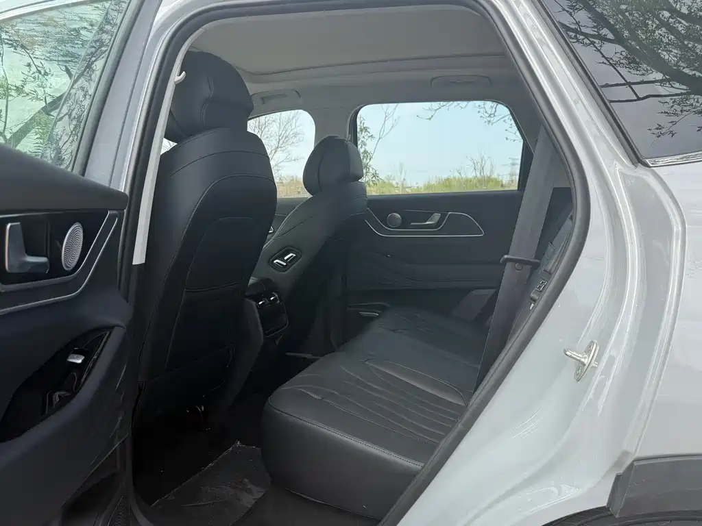 Fengyun T9 2024 model 120 long endurance version standard model 5 seats ternary lithium купить на сайте DeffCars